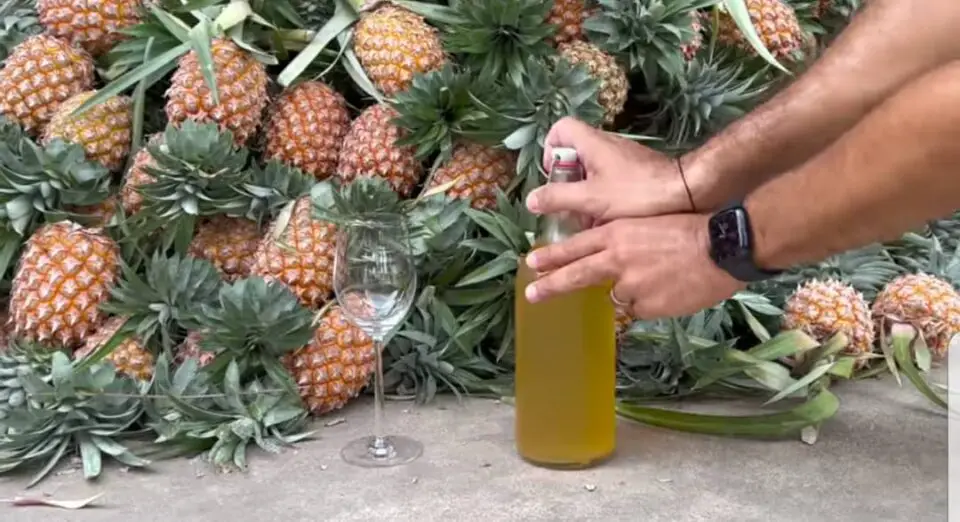 Vin d'ananas fait maison